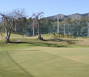 Campo de Golf Miguel Ángel Jiménez, Campo de Golf en Málaga - Andalucía