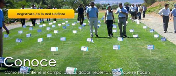 mantenimiento de campos de golf, curiosidades, variedades de céspedes de golf, etc.